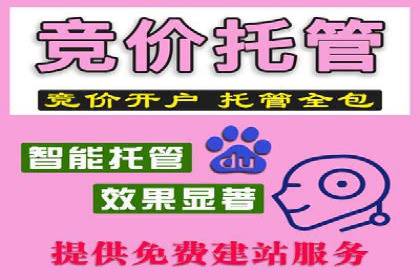 SEM推广优化中的关键词策略——以某品牌为例